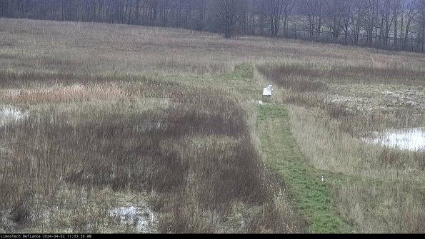 Cell 1 to 2_24-04-02_11-03-30-49