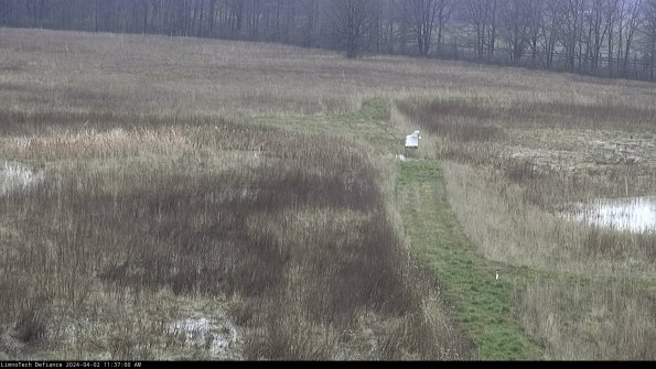 Cell 1 to 2_24-04-02_11-37-00-50