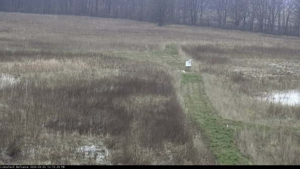 Cell 1 to 2_24-04-02_12-10-29-48