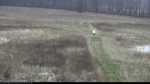 Cell 1 to 2_24-04-02_13-50-56-50