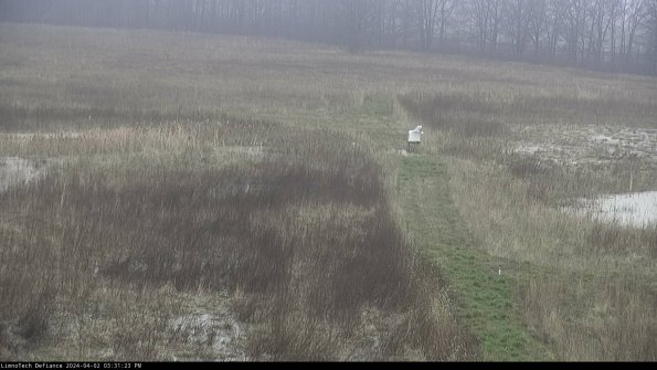 Cell 1 to 2_24-04-02_15-31-23-48