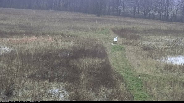 Cell 1 to 2_24-04-02_16-04-53-49