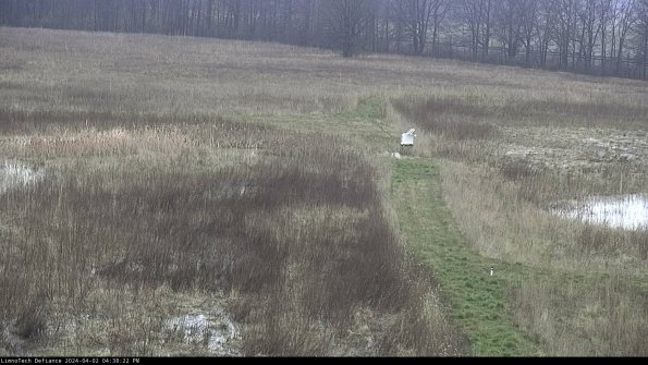 Cell 1 to 2_24-04-02_16-38-22-51