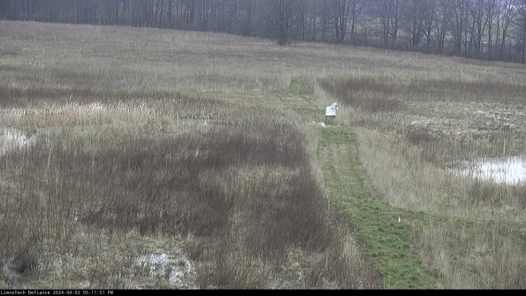 Cell 1 to 2_24-04-02_17-11-51-49