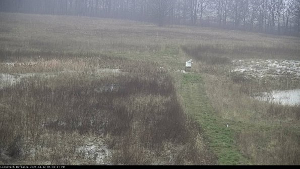 Cell 1 to 2_24-04-02_17-45-21-48