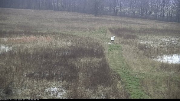 Cell 1 to 2_24-04-02_17-53-02-57