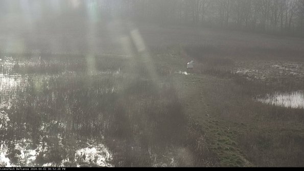 Cell 1 to 2_24-04-02_18-52-20-51