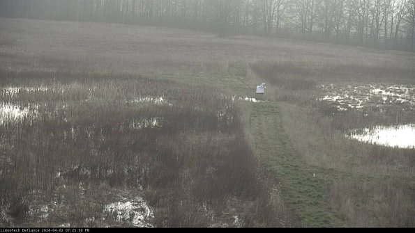 Cell 1 to 2_24-04-02_19-25-50-50