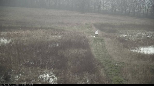 Cell 1 to 2_24-04-02_19-59-19-51