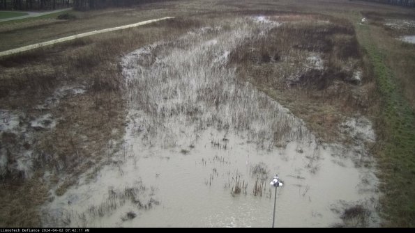 Cell 1_24-04-02_07-42-11-48