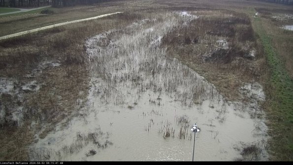 Cell 1_24-04-02_08-15-41-49