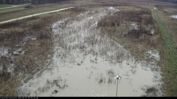 Cell 1_24-04-02_08-42-59-50