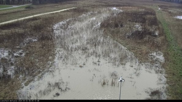 Cell 1_24-04-02_08-49-13-51