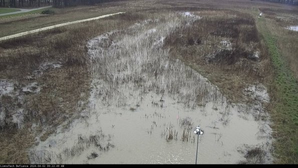 Cell 1_24-04-02_09-22-49-50