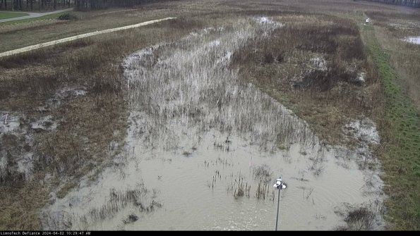 Cell 1_24-04-02_10-29-47-53