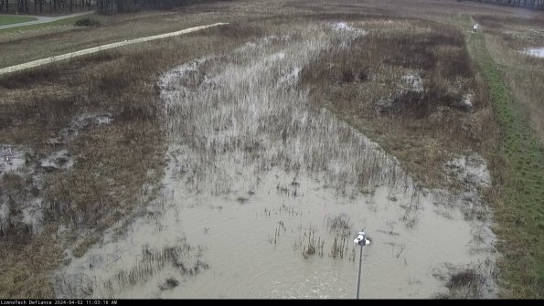 Cell 1_24-04-02_11-03-16-51