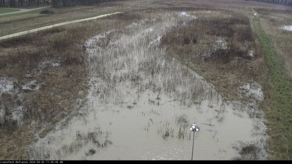 Cell 1_24-04-02_11-36-46-49