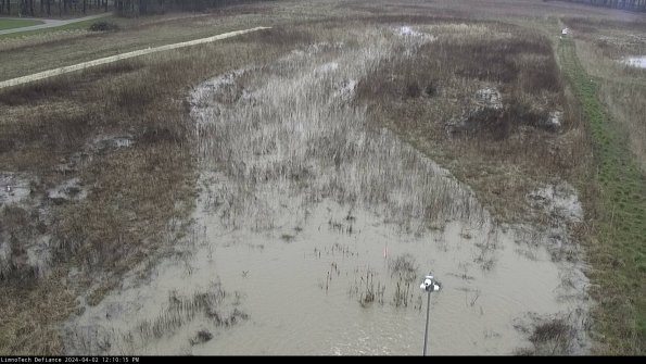 Cell 1_24-04-02_12-10-15-50