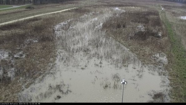 Cell 1_24-04-02_12-43-44-49