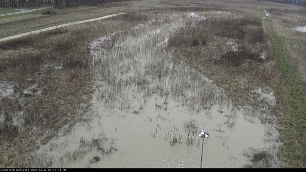 Cell 1_24-04-02_13-17-14-47