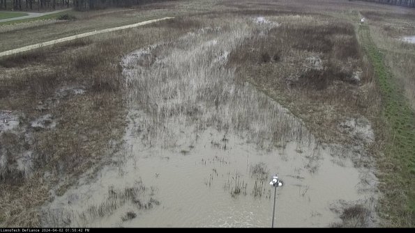 Cell 1_24-04-02_13-50-42-48