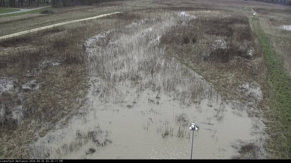 Cell 1_24-04-02_14-24-11-47