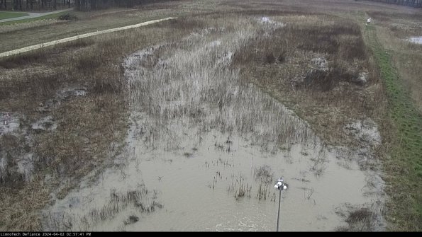 Cell 1_24-04-02_14-57-41-48