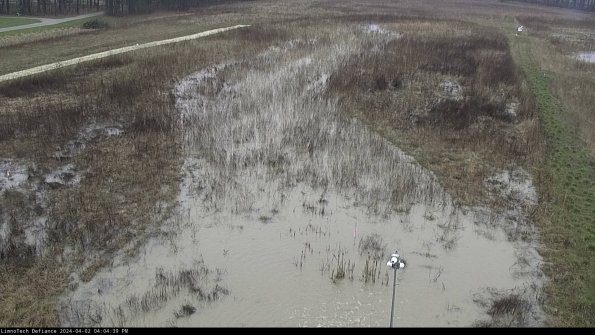 Cell 1_24-04-02_16-04-39-51