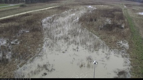 Cell 1_24-04-02_17-11-37-51