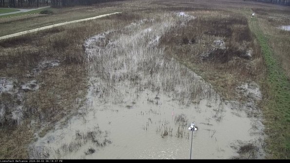 Cell 1_24-04-02_18-18-37-55