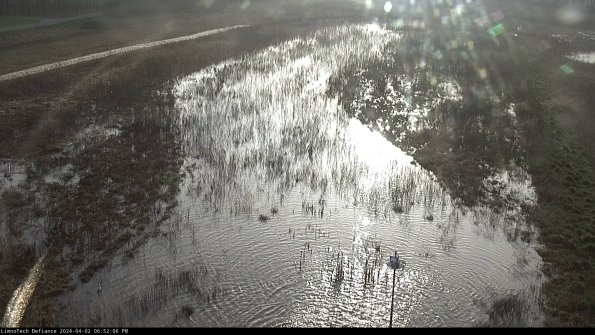 Cell 1_24-04-02_18-52-06-50