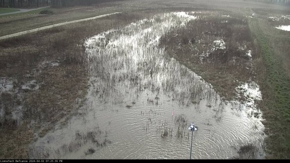 Cell 1_24-04-02_19-25-36-52