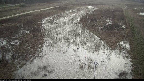 Cell 1_24-04-02_19-59-05-50