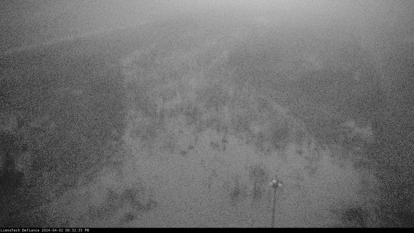 Cell 1_24-04-02_20-32-35-52