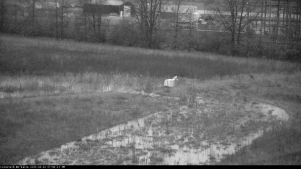 Cell 2 to 3_24-04-02_07-09-21-50