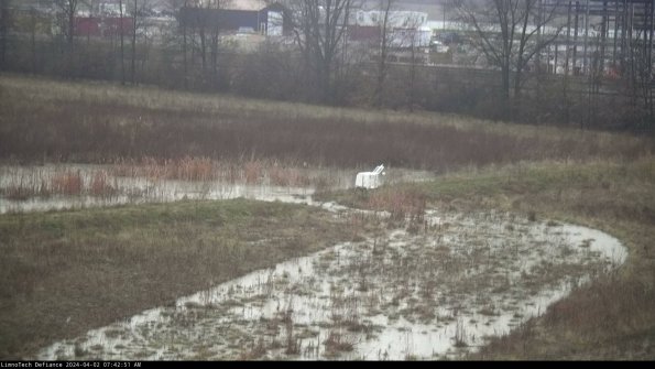 Cell 2 to 3_24-04-02_07-42-51-58