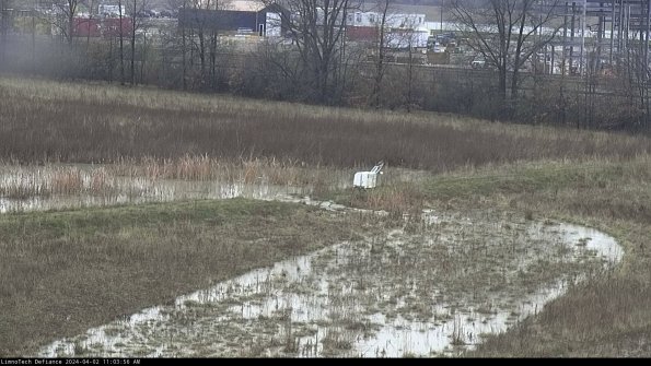 Cell 2 to 3_24-04-02_11-03-56-58