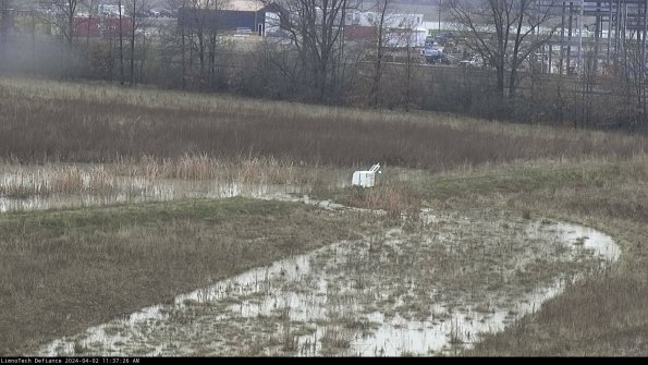 Cell 2 to 3_24-04-02_11-37-26-66