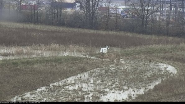 Cell 2 to 3_24-04-02_12-10-55-61