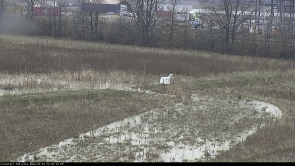 Cell 2 to 3_24-04-02_12-44-24-66