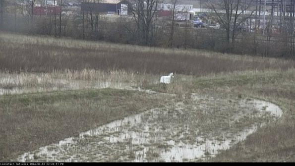 Cell 2 to 3_24-04-02_14-24-51-67