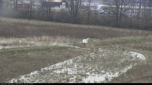 Cell 2 to 3_24-04-02_17-12-17-65