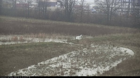 Cell 2 to 3_24-04-02_17-45-47-60