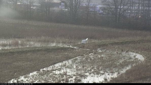 Cell 2 to 3_24-04-02_18-52-46-71