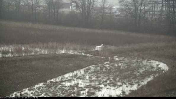 Cell 2 to 3_24-04-02_19-59-45-74