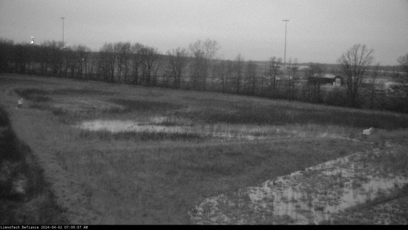 Cell 2_24-04-02_07-09-07-62