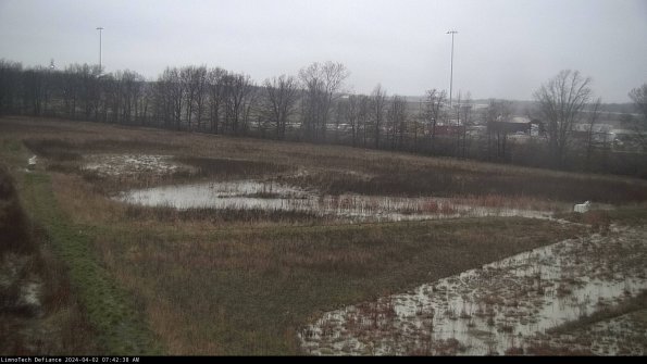 Cell 2_24-04-02_07-42-38-50