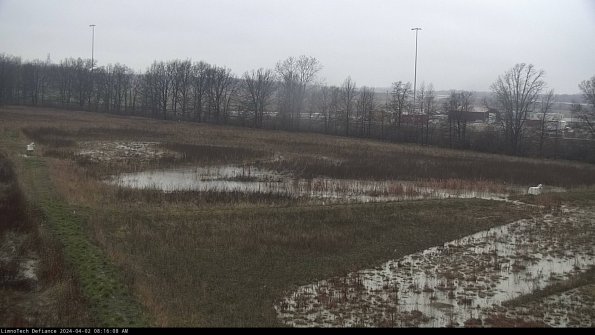 Cell 2_24-04-02_08-16-08-55