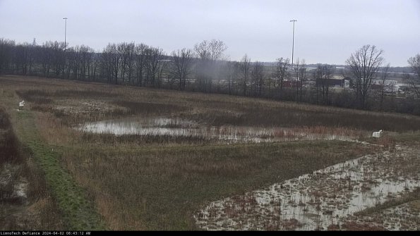 Cell 2_24-04-02_08-43-12-71