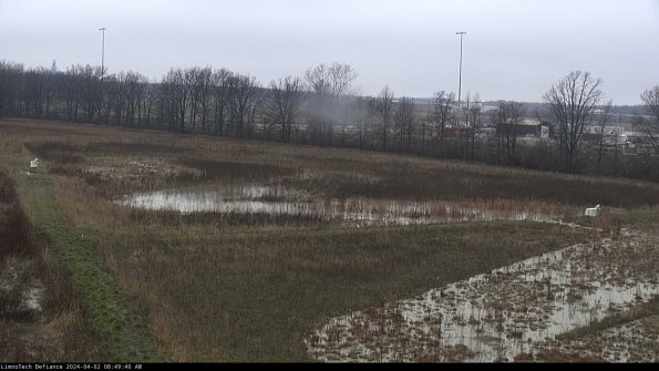 Cell 2_24-04-02_08-49-40-54